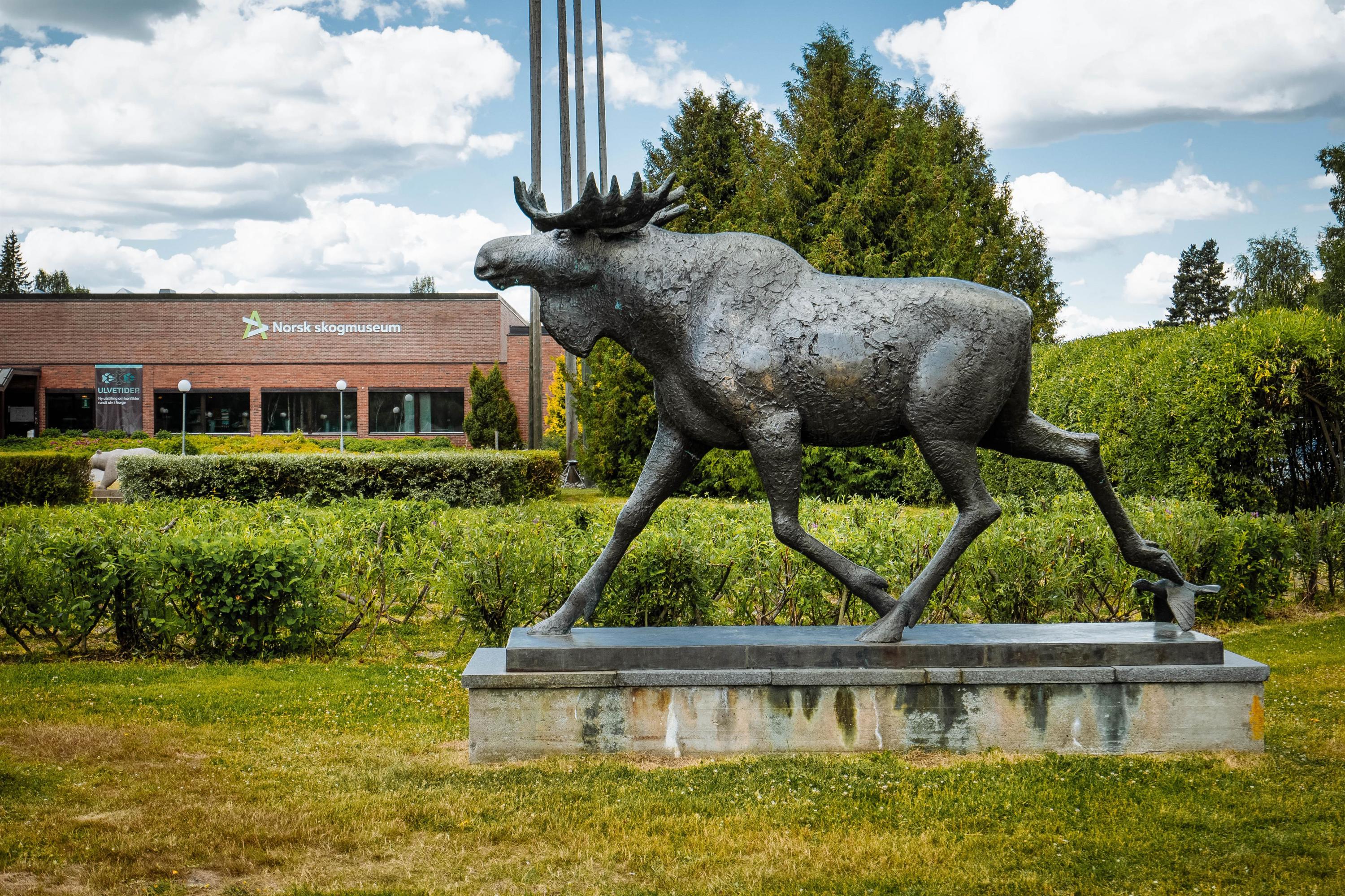Anno Norwegian Forest Museum, image size:3000x2000